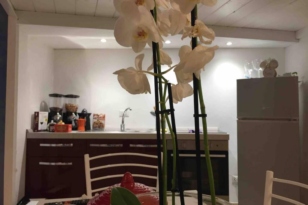 רומא Small Mezzanine Apartment Colosseo מראה חיצוני תמונה